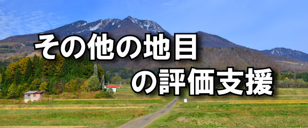 その他の地目の評価支援