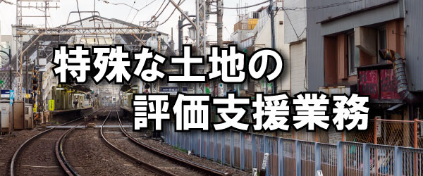 特殊な土地の評価支援業務