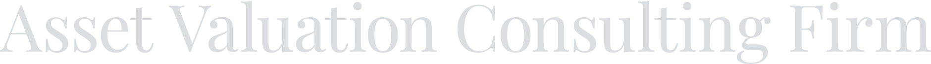 Asset Valuation Consulting Firm